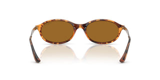 Vogue Vo 5625s Women Havana Oval Sunglasses