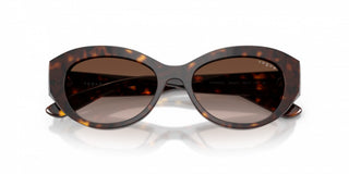 Vogue Vo 5659su Women Havana Oval Sunglasses