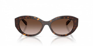 Vogue Vo 5659su Women Havana Oval Sunglasses