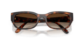 Vogue VO 5669S women Havana Cat Eye Sunglasses