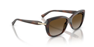 Vogue VO 5678SB women Havana Butterfly Sunglasses