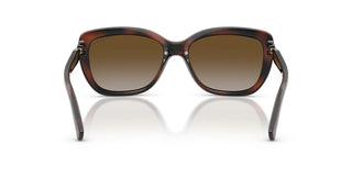 Vogue VO 5678SB women Havana Butterfly Sunglasses