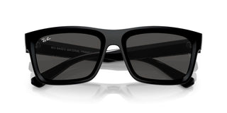 Ray-ban Warren Rb 4396 Unisex Black Geometric Sunglasses