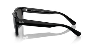 Ray-ban Warren Rb 4396 Unisex Black Geometric Sunglasses