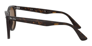 Ray-Ban WAYFARER II RB 2185 unisex Havana Geometric Sunglasses