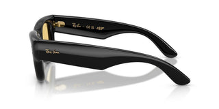 Ray-Ban WAYFARER PUFFER BY A$AP ROCKY RB 4940 unisex Black Sunglasses