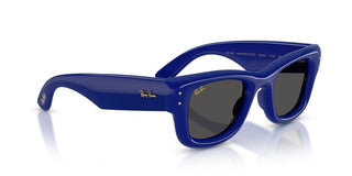 Ray-ban Wayfarer Puffer By A$ap Rocky Rb 4940 Unisex Blue Squared Sunglasses