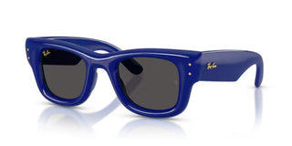 Ray-Ban WAYFARER PUFFER BY A$AP ROCKY RB 4940 unisex Blue Squared Sunglasses