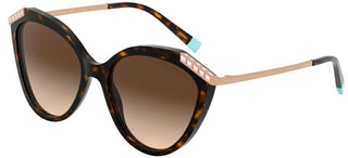 Tiffany & Co. WHEAT LEAF TF 4173B women Havana Cat Eye Sunglasses